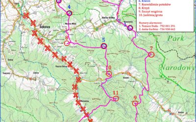 Wariant organizatora TP50