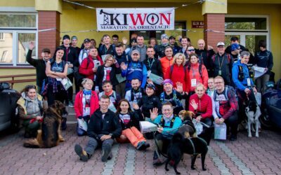 Wyniki wstępne TP20