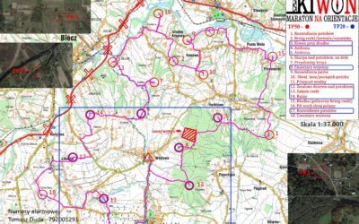 Wariant organizatora TP50- Kiwon 2020